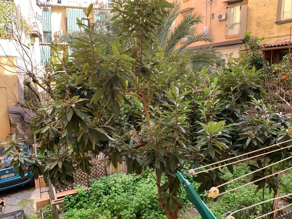 Da Ninetta Resterete Senza Parole, Garantito! Неаполь Экстерьер фото
